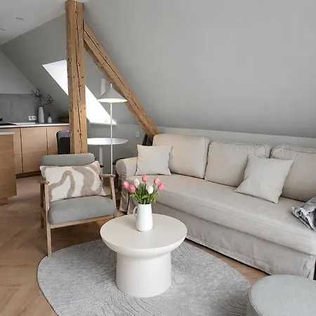 Lejlighed Moderne 2-Zimmer-Wohlfuehlwohnung Mit Top-Kueche & Netflix In Hildesheim Hildesheim